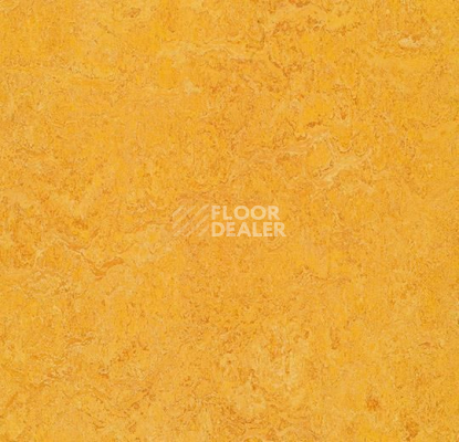 Линолеум Forbo Marmoleum Marbled Real 3225 / 322535 Dandelion фото 1 | FLOORDEALER